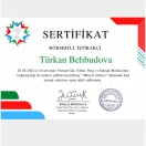 Bakalivariat