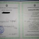 Bakalavr