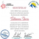 Sertifikat