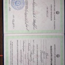 Bakalavr diplomu