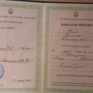 Bakalavr diplomu