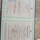 Bakalavr diplomu