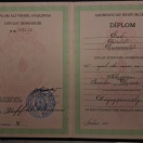 Adi, bakalavr