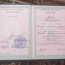 Bakalavr diplomu