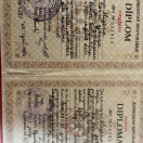 Azərbaycan Dillər Universitetin fərqlənmə diplomu