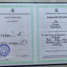 Bakalavr diplomu