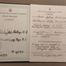 Bakalavr diplomu