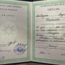 Bakalavr