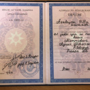 Гасанова Айнур