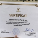 Azərbayxan İnstutu- “Peşəkar ol” layihəsi. Sertifikat