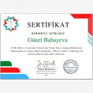 Virtua nitq, təlim, nitq və inkişaf təlimində iştirak  haqqında