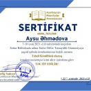 Könüllülük fəaliyyəti
