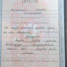 Bakalavr