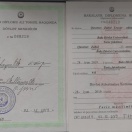 Bakalavr