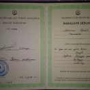 Bakalavr diplomu