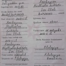 Azərbaycan Müəllimlər İnistitutu-Şəki filialılı