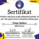 Virtual güc