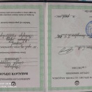 Bakalavr diplomu
