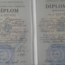 BPKİİ