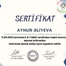 Sertifikat