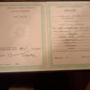 Bakalavr