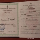 Bakalavr
