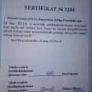 Bakalavr