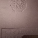 Bakalavr