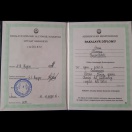Bakalavr Diplomu