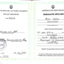 Bakalavr Diplomu