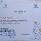 STEAM təlimi sertifikat