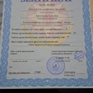 İCN023257