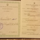 Bakalavr