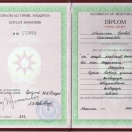 Bakalavr Diplomu