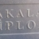 Bakalavr