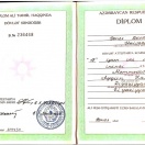 Ali Peşə İstiqaməti üzrə Bakalavr dərəcəsi