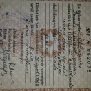 Ali təhsil diplomu