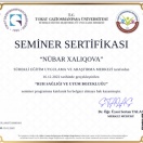 Ruh sağlığı ve uyum bozukluğu seminarı