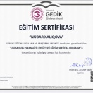 Louissa Duss Psixoanalitik öykü testi seminarı