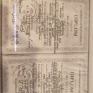 Ali fərqlənmə diplomu