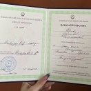 Bakalavr diplomu