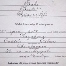 Bakalavr
