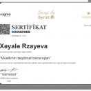 Sertifikat