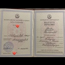 Master degree