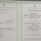 Bakalavr
