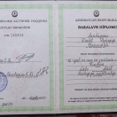 Bakalavr