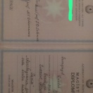 Magistr diplomu