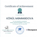 Frontend developer