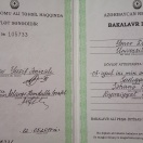Bakalavr diplomu