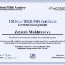 TESOL/TEFL